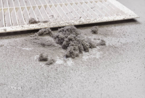 Best Air Duct Cleaning Near Me  in Morris, AL