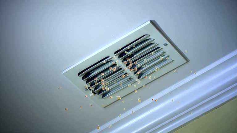 Best General Air Duct Cleaning  in Morris, AL