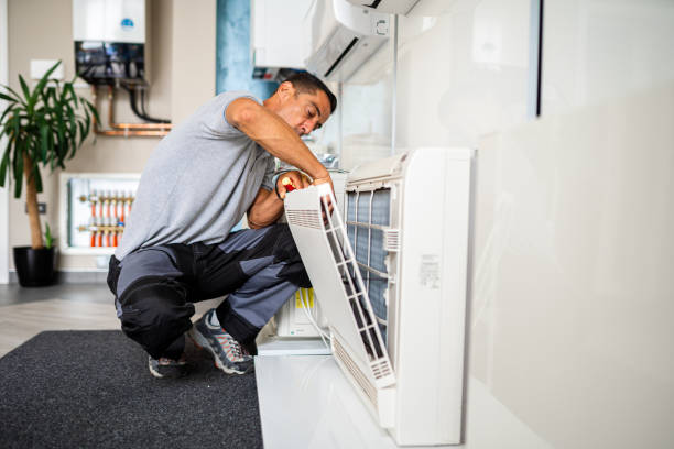 Best Air Duct Sanitizing Services  in Morris, AL
