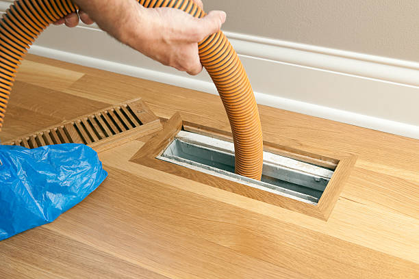 Air Duct Mold Removal in Morris, AL