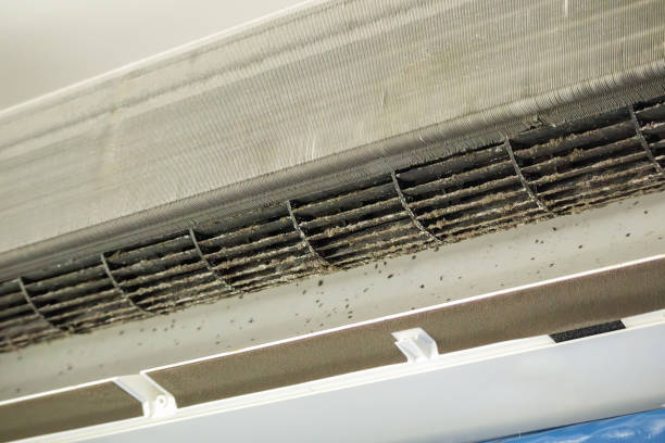 Best Commercial Air Duct Cleaning  in Morris, AL